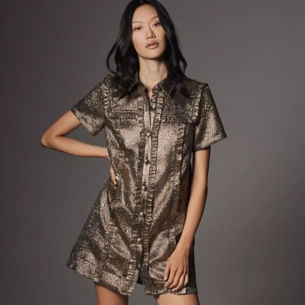 NWT! By Anthropologie Short-Sleeve Metallic Brocade Mini Dress - Size Medium 🛶